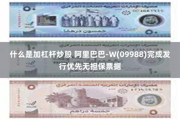 什么是加杠杆炒股 阿里巴巴-W(09988)完成发行优先无担保票据