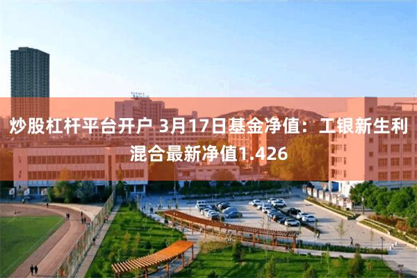 炒股杠杆平台开户 3月17日基金净值：工银新生利混合最新净值1.426
