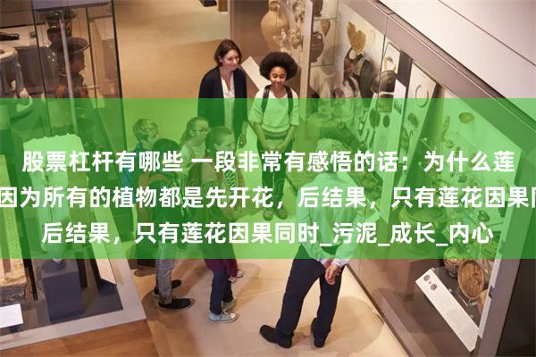 股票杠杆有哪些 一段非常有感悟的话：为什么莲花能代表人生智慧？因为所有的植物都是先开花，后结果，只有莲花因果同时_污泥_成长_内心