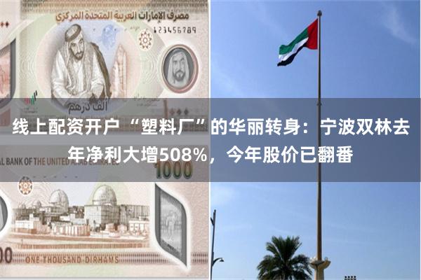 线上配资开户 “塑料厂”的华丽转身：宁波双林去年净利大增508%，今年股价已翻番