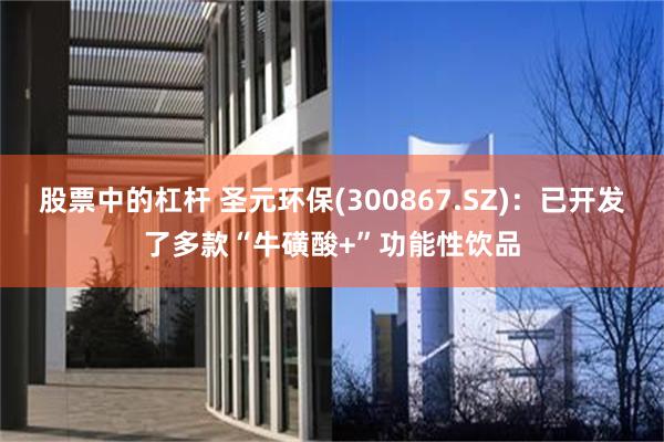 股票中的杠杆 圣元环保(300867.SZ)：已开发了多款“牛磺酸+”功能性饮品