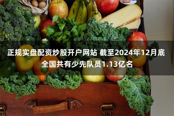 正规实盘配资炒股开户网站 截至2024年12月底 全国共有少先队员1.13亿名