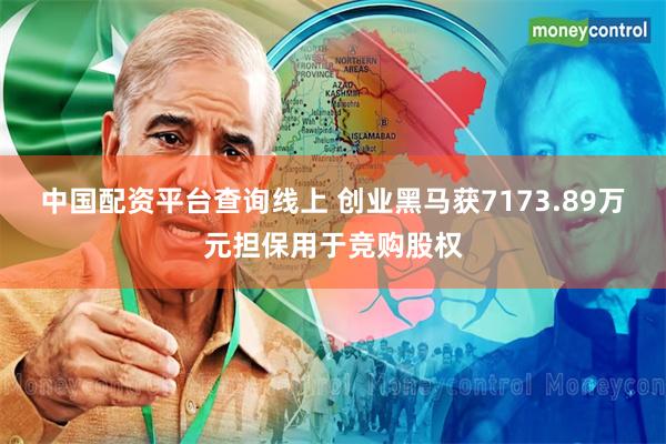 中国配资平台查询线上 创业黑马获7173.89万元担保用于竞购股权