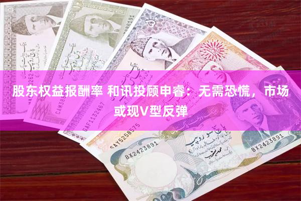 股东权益报酬率 和讯投顾申睿：无需恐慌，市场或现V型反弹