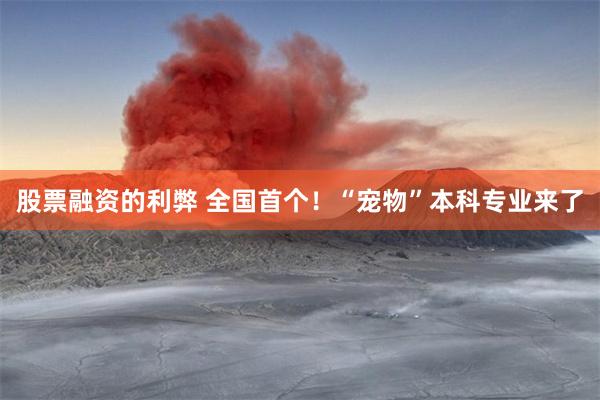 股票融资的利弊 全国首个！“宠物”本科专业来了