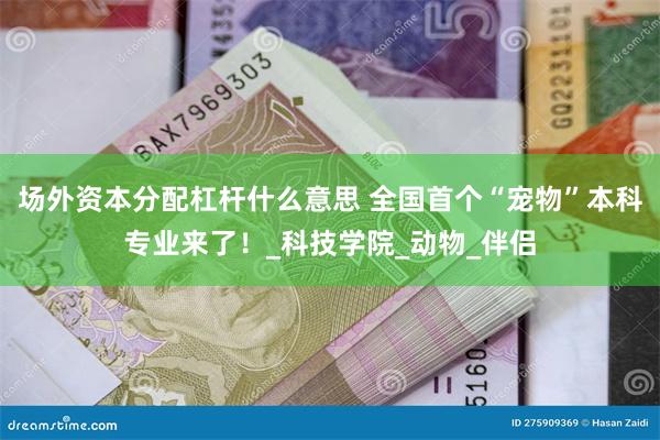 场外资本分配杠杆什么意思 全国首个“宠物”本科专业来了！_科技学院_动物_伴侣