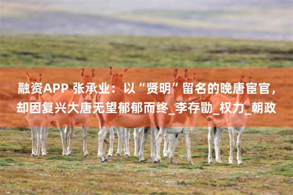 融资APP 张承业：以“贤明”留名的晚唐宦官，却因复兴大唐无望郁郁而终_李存勖_权力_朝政