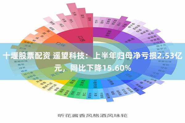 十堰股票配资 遥望科技：上半年归母净亏损2.53亿元，同比下降15.60%